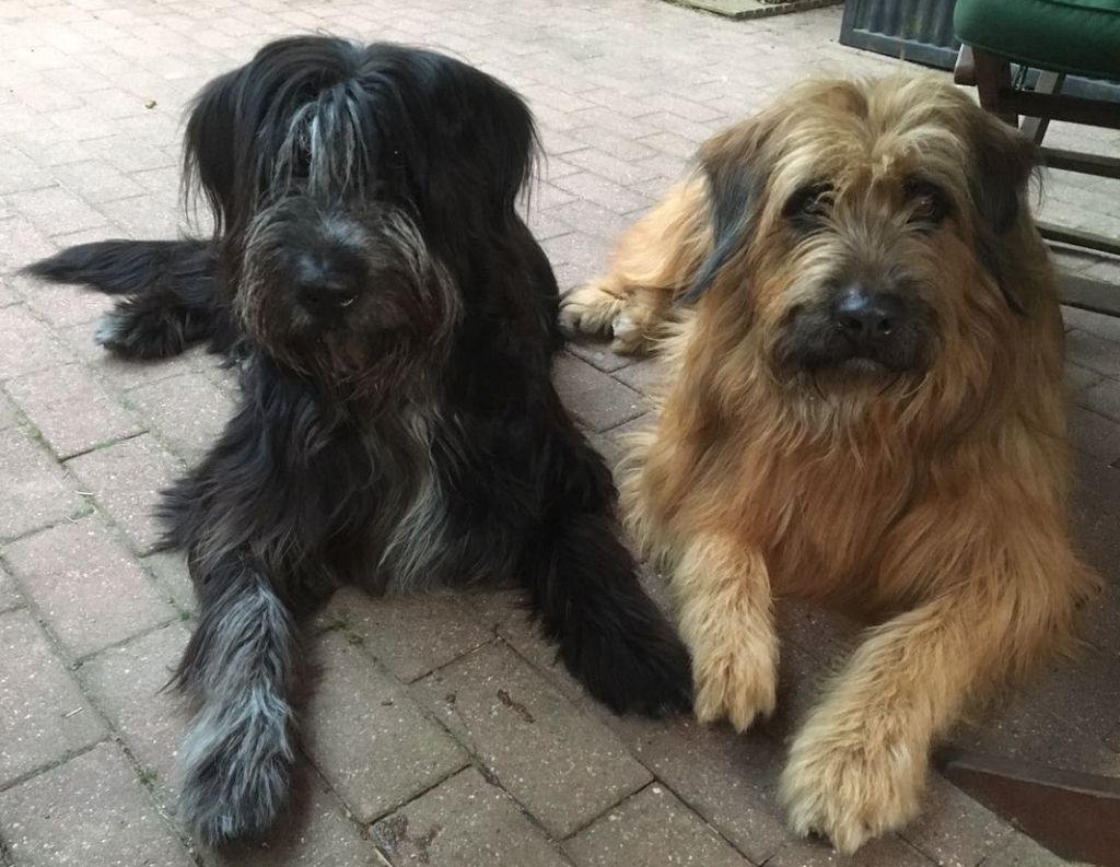Brika und Aanton