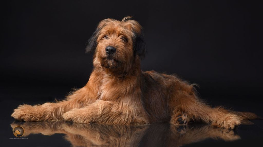 Bilbo