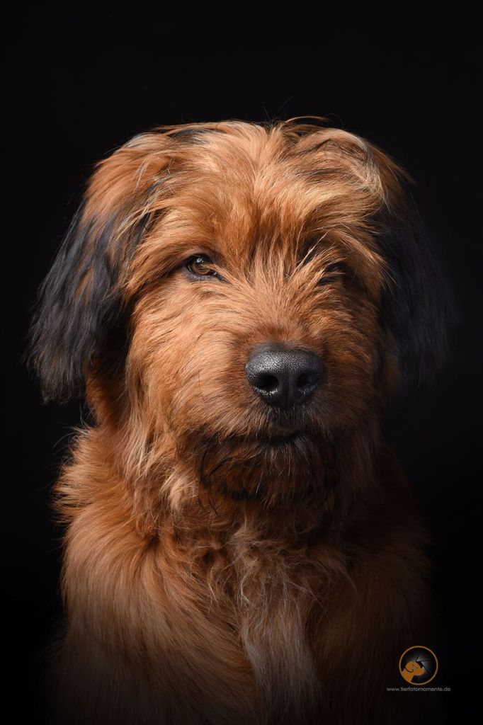 Bilbo 2