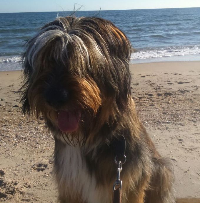 Bjeff am Strand