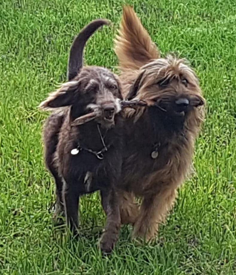 Bjelle und Alma