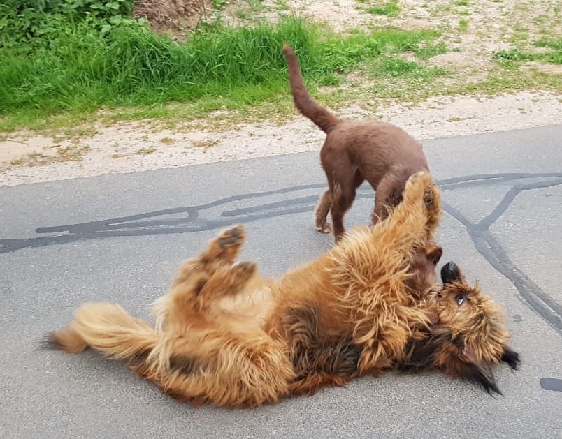 Mit beste Freundin Alma