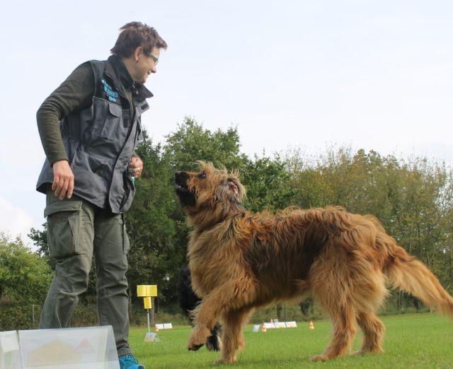 Sussi und Bjelle RO Training