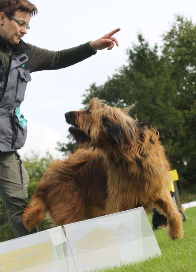 Sussi und Bjelle RO Training.jpg 2