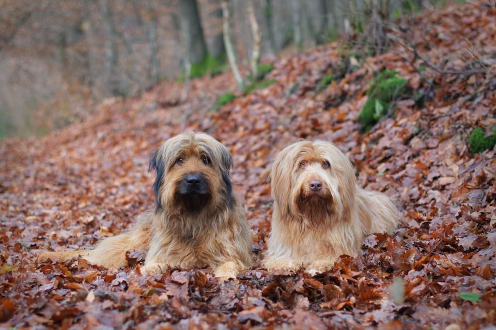 Bjelle und Anton 2