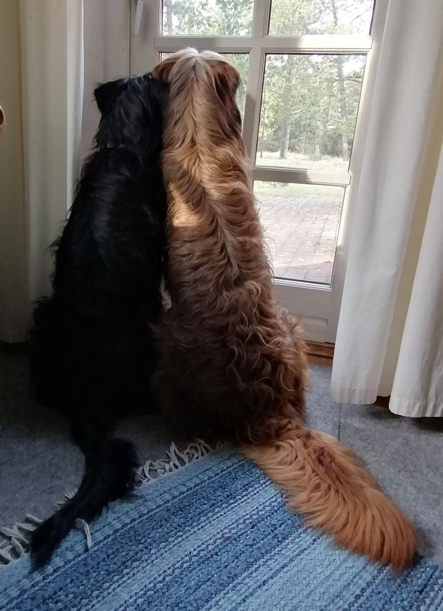 Cara mit Mama von hinten