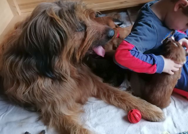 Gibt es da auch Milch