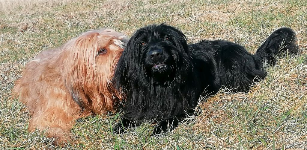 B und B zärtlich