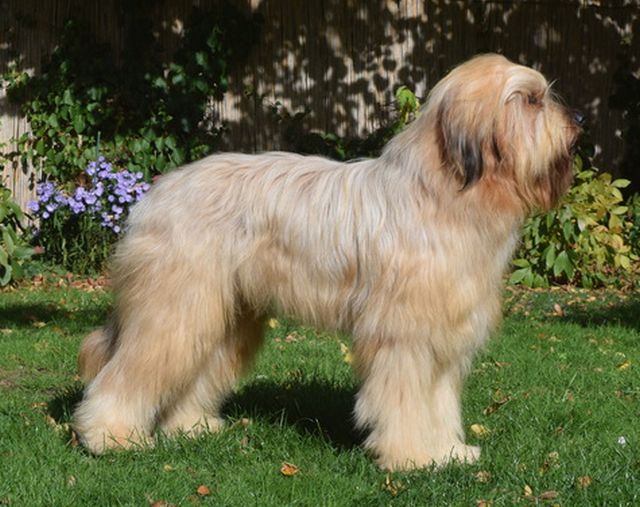 Bertie Sept.2018