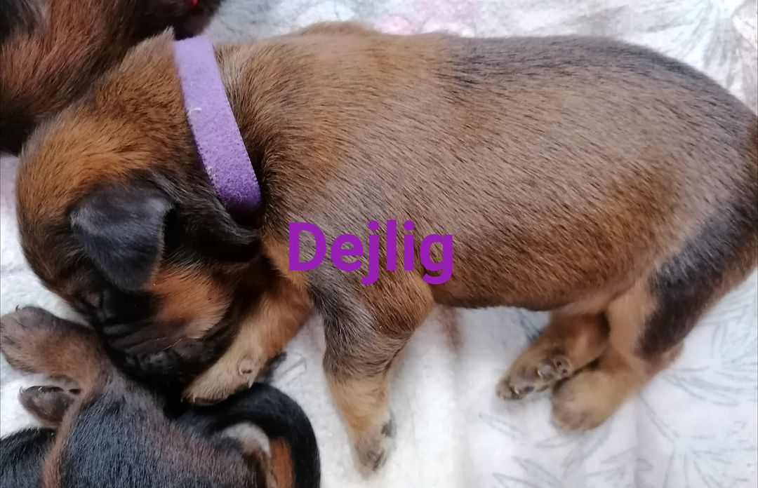 Dejlig mit Name