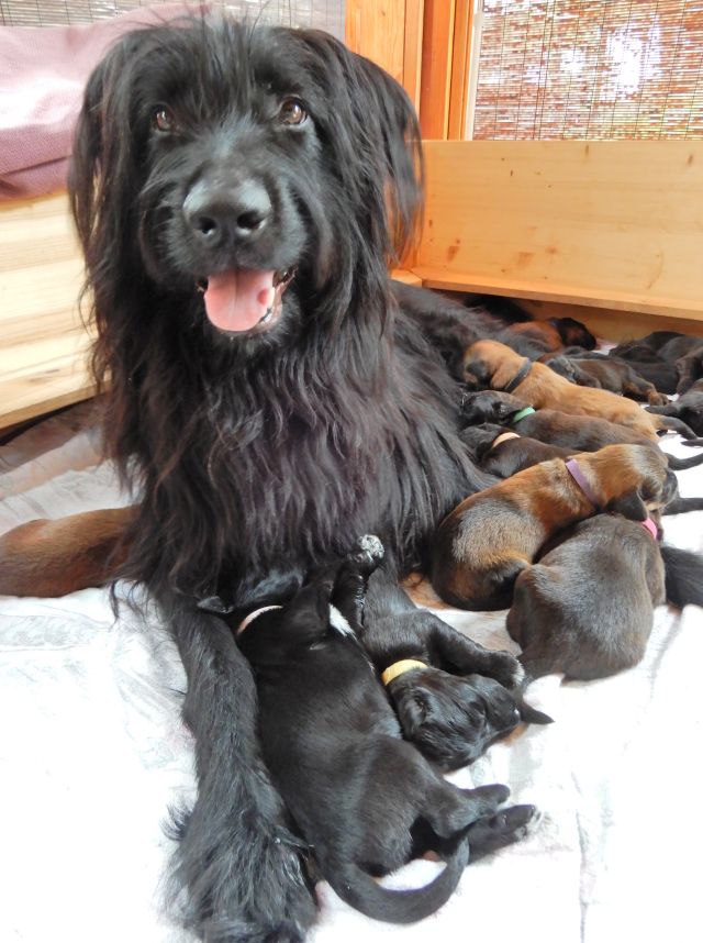 Hübsche Mama Bell