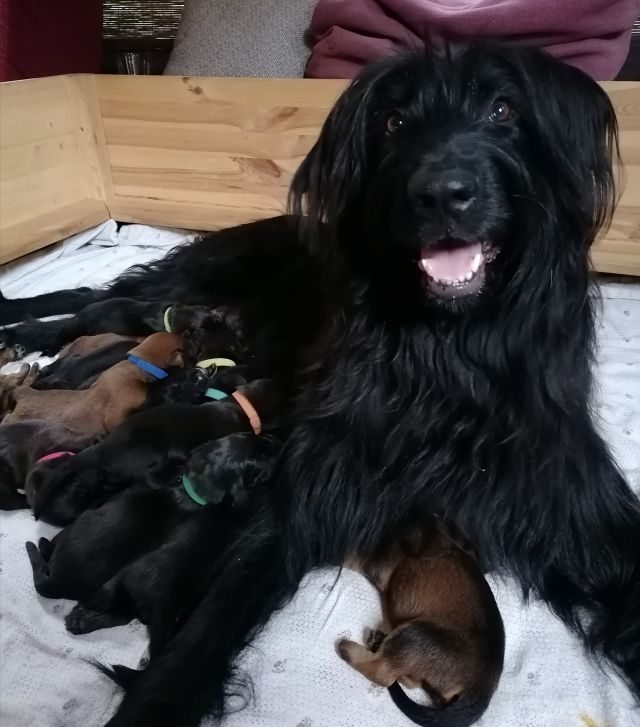Stolze Mama Bell