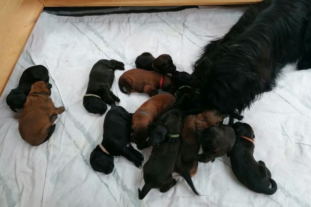 Sind noch alle da