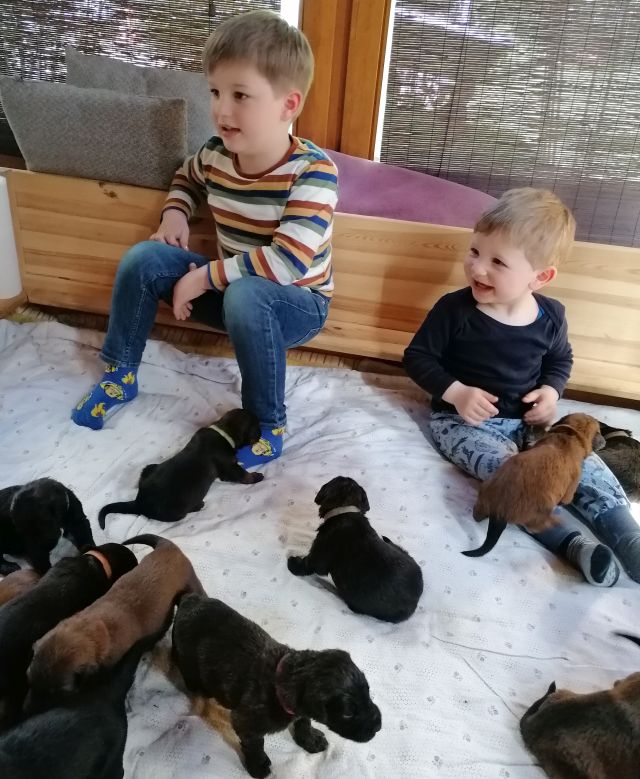 Wer ist hier glücklicher