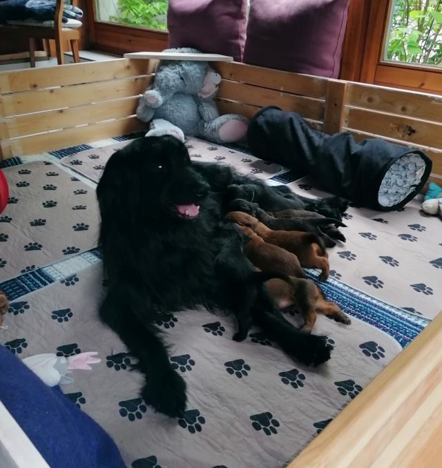 Schön mit mehr Platz
