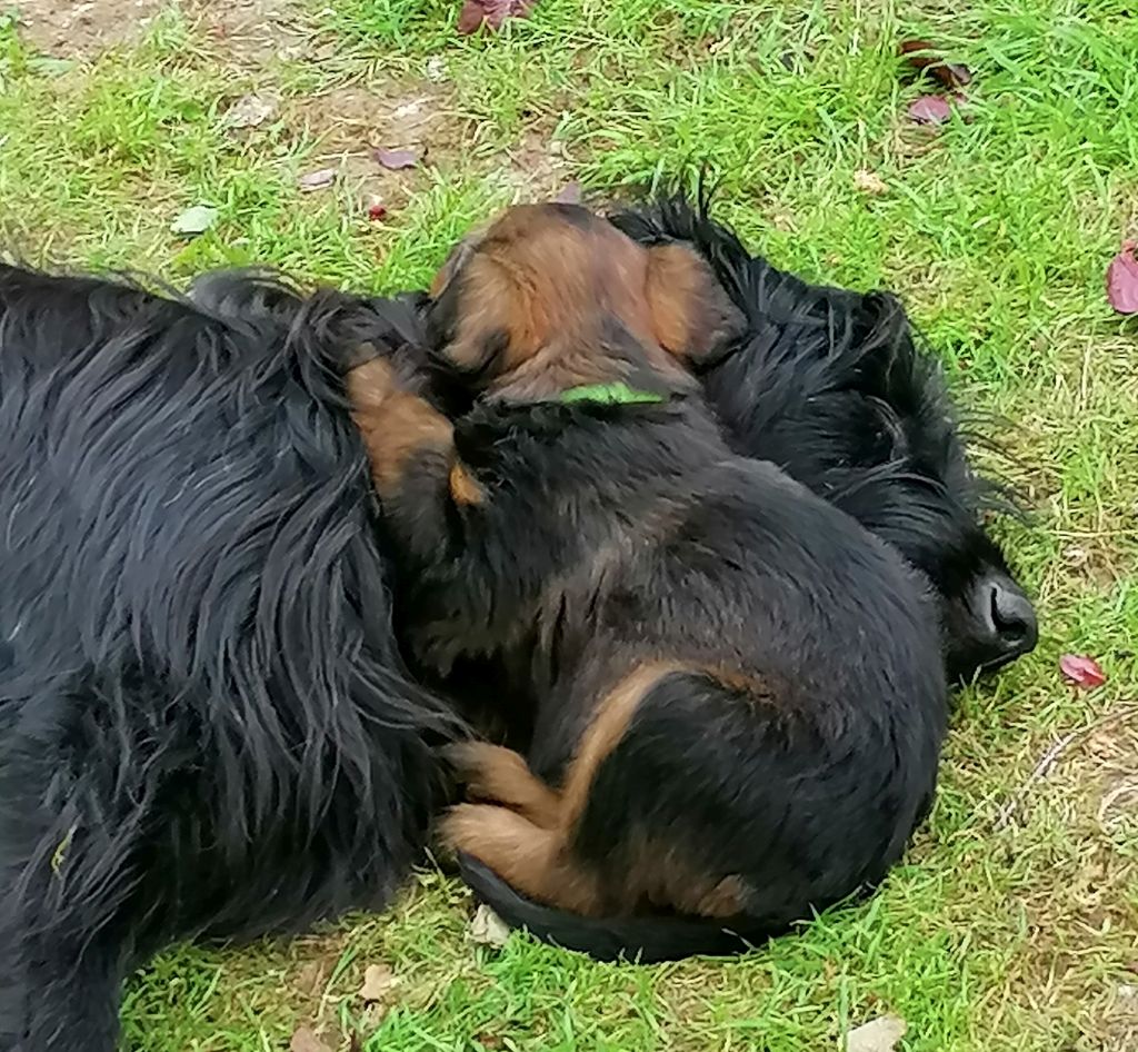 Tolles Kopfkissen