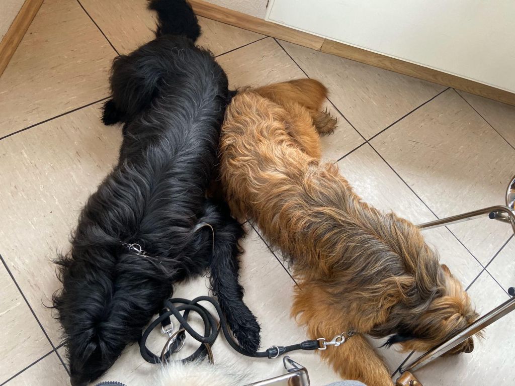 Bell und Bjelle beim HD Röntgen