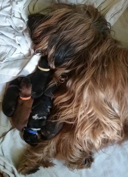 Kuschelstunde