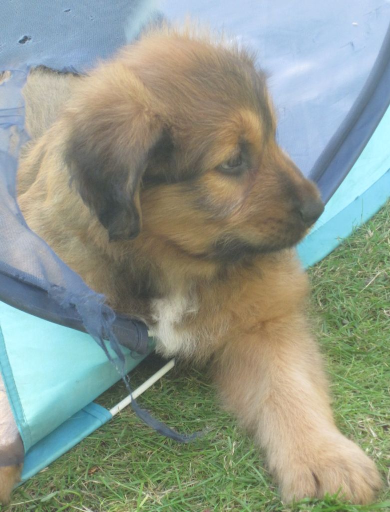 Bilbo
