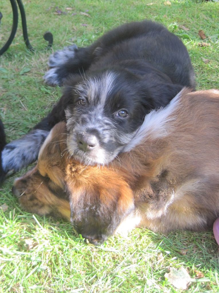 Brika und Bilbo