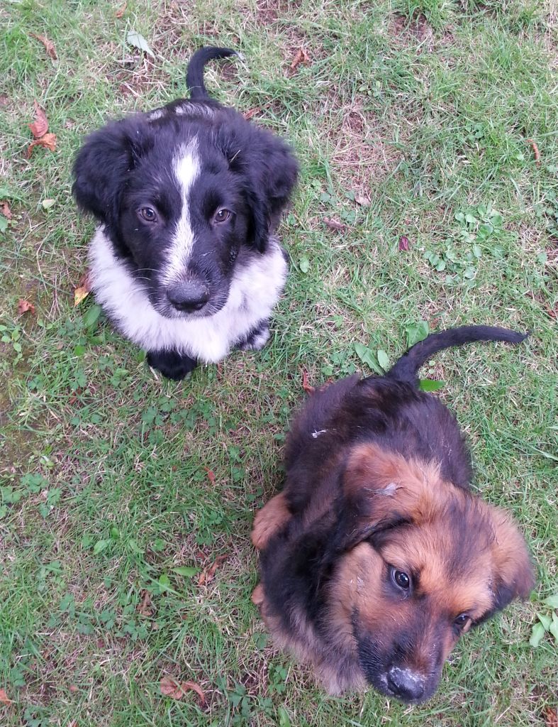 Barou und Bjelle