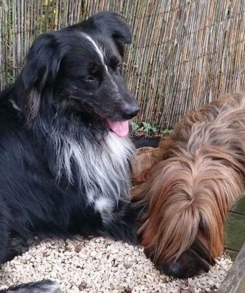 Mette liebt Garou