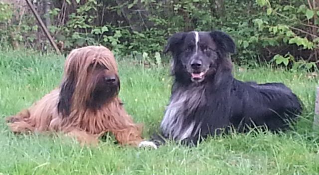 Mette und Garou