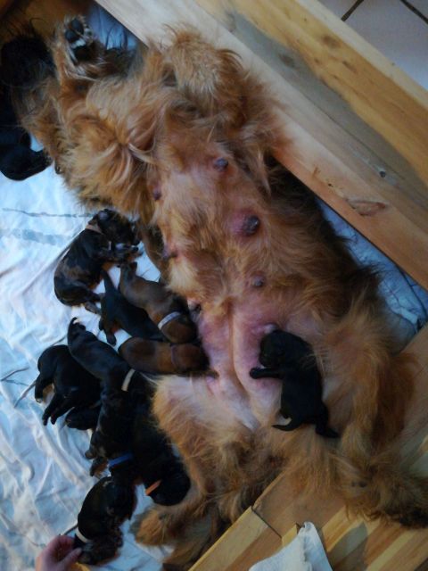 Schön auf Mamas Bauch