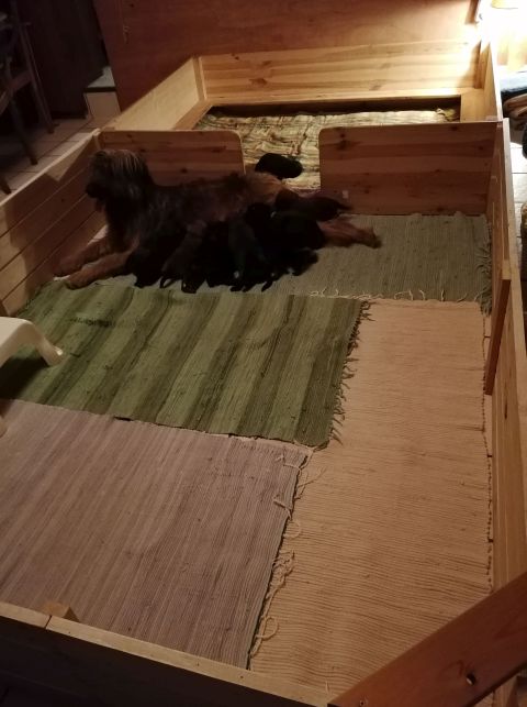 Erweiterung der Wurfkiste