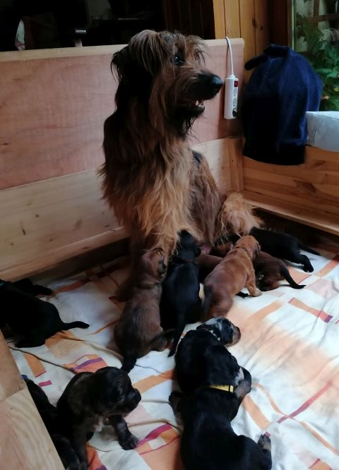 Stolze Mama Bjelle