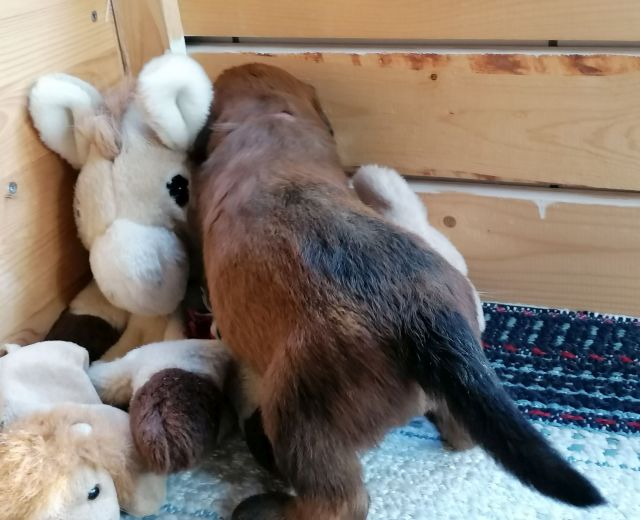 Was ist dahinter