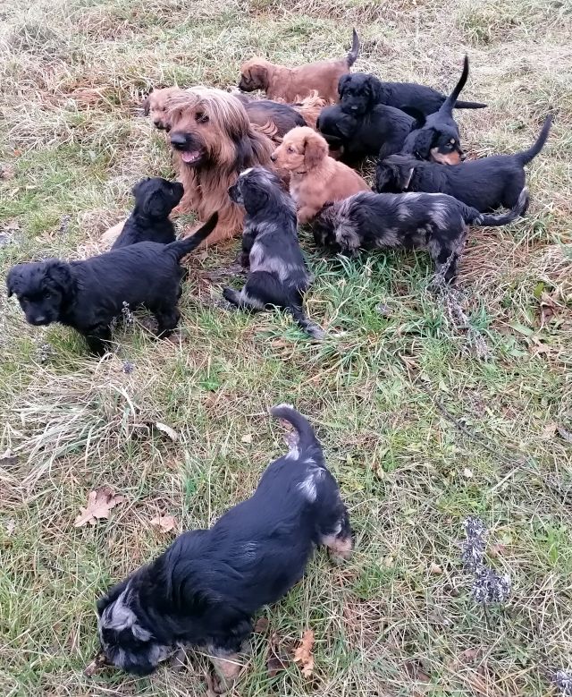 In der Feldmark mit Mama