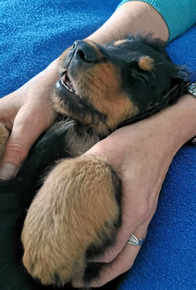 Cara ist beim Schallen eingeschlafen