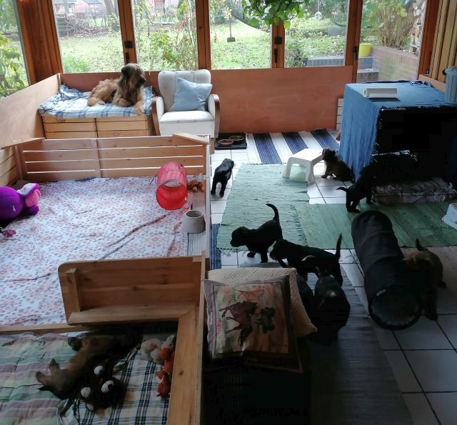 Jetzt haben wir den ganzen Wintergarten für uns